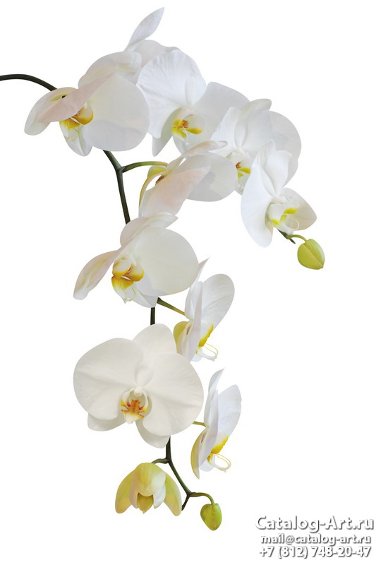 картинки для фотопечати на потолках, идеи, фото, образцы - Потолки с фотопечатью - Белые орхидеи 3